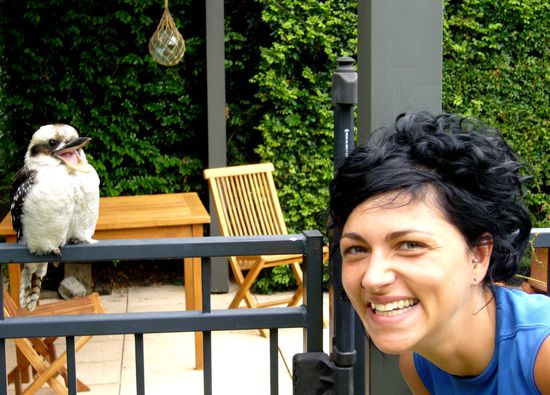 Lachender Hans, der ma einfach lacht anstelle wegzufliegen... crazy...