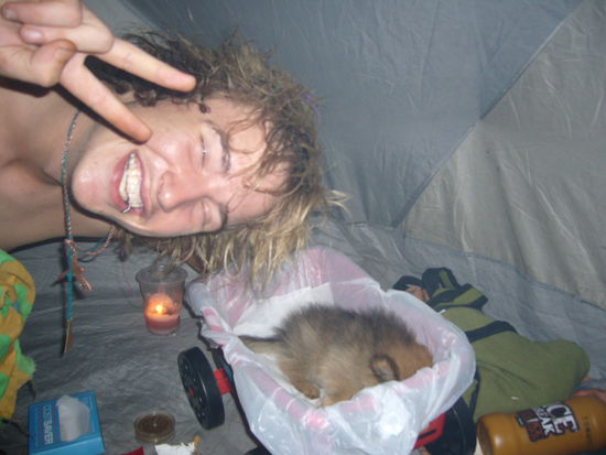 what an asshole. im wagen der hund oder fuchs oder was auch immer...