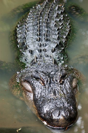 sieht hier viel kleiner aus als es war...