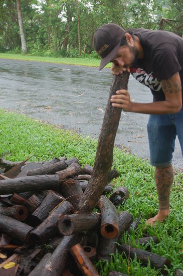 Termitenzerfressene Hoelzer, als Basis fuer die Herstellung eines Didgeridoos