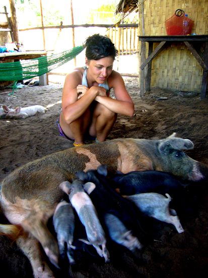 Sieht aus wie aufm Bauernhof, ist aber mitten im Restaurant...