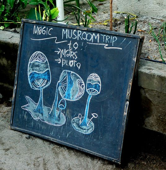 magic mushrooms auf gili trawangan. auch sonst ueberall in lombok und bali erhaeltlich und auf alle anderen drogen die todesstrafe...