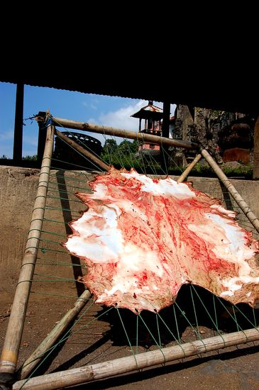 frische Haut von irgendwas beim Trocknen