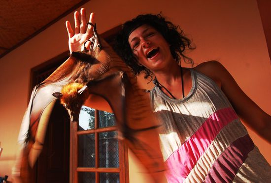 Simi und Mr. Bat, der alte Kalong