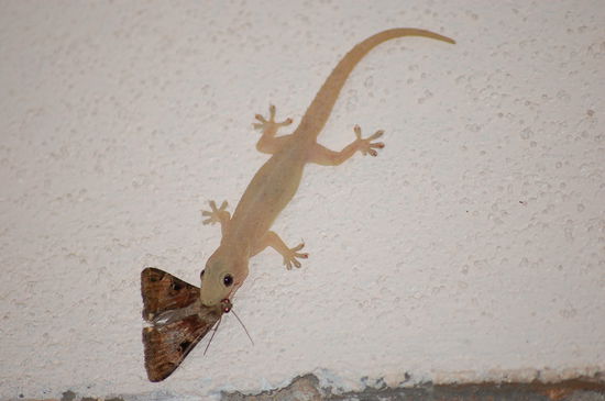 Ausblick vom Bett auf die Wand