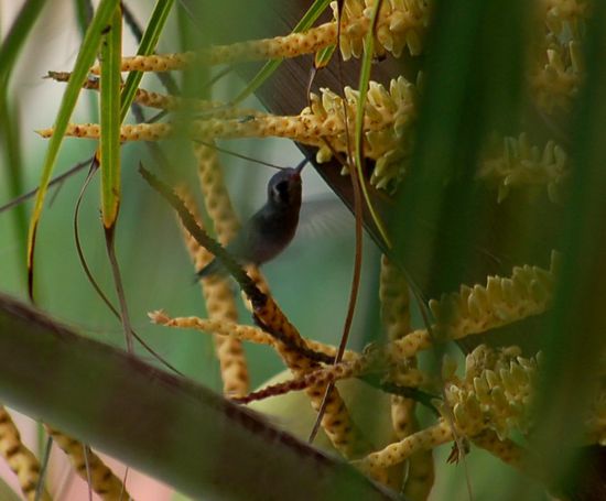 Ausblick vom Bad zu unserem Freund, dem Kolibri
