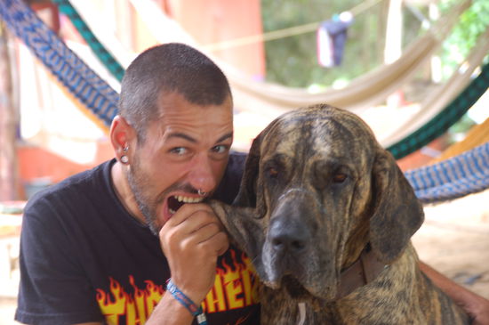 Mono von unserem Hostel in Mazunte hat so viel ueberschuessiges Fell, dass ihm nicht mal aufgegfallen ist, das ich ihm ein Stueck abgebissen habe