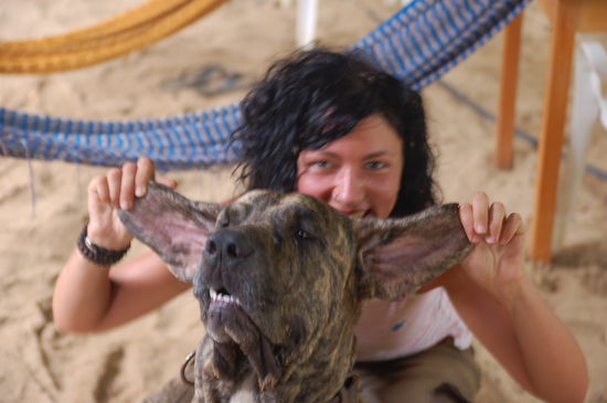 Elefant, der genauso wie der Hund im oberen Bild heisst