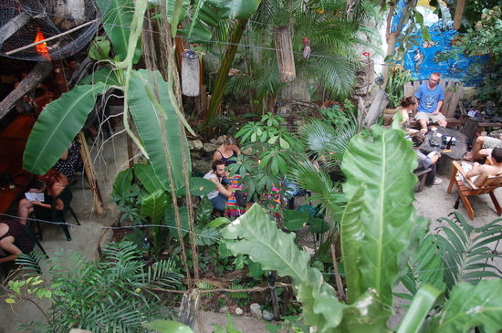 Unser entspanntes Hostel in Flores von oben. felt like being in the jungle...