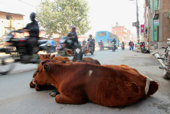 Auf unserem langen Fussweg nach Pashaputinath zu den oeffentlichen Verbrennungen