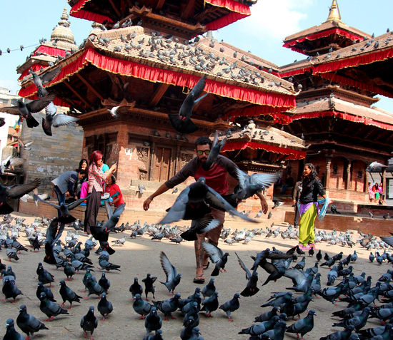Durbar Square im Herz der Stadt. Einer der Tourispots Kathmandus und auch bei Tauben recht beliebt...