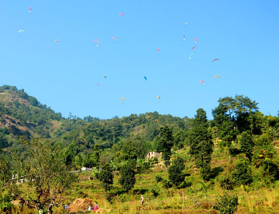 Paraglides everywhere