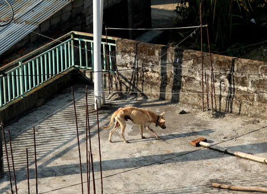 unser Ausblick aus dem Fenster