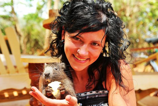 Banchito, die alte Baumratte