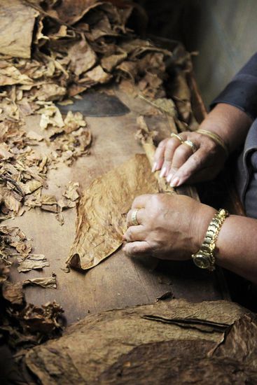ordentlich am Ziga rollen