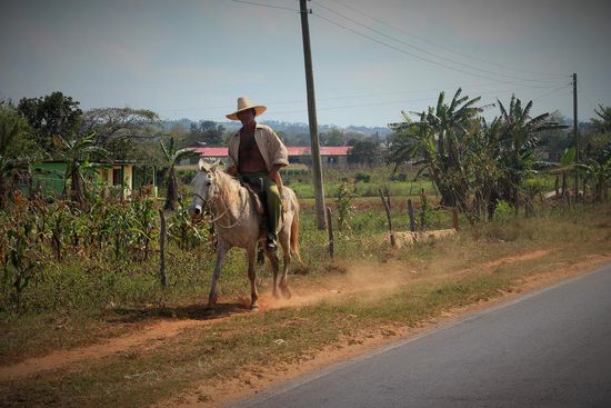 Cowboy in Vinales