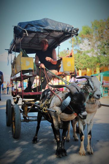 Der Ziegenexpress ist auch schon am Start und typischerweise zeigt mir der Kutscher mit seiner linken Hand schon während des Fotos, dass ich dafür zahlen soll...
