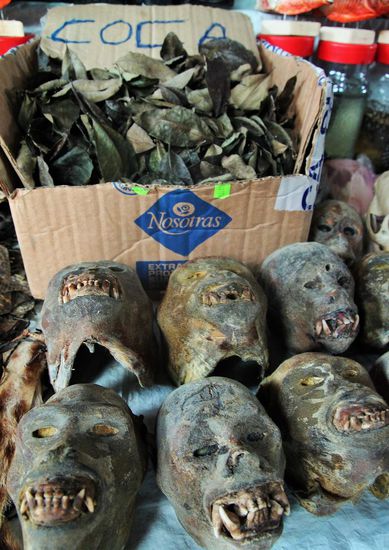 und Coca und Affenschädel gabs natürlich auch...