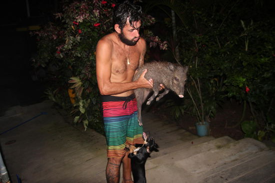 Theo, das Wildschwein in dem Hostel in Yurimaguas und der durchgeknallte Hund...