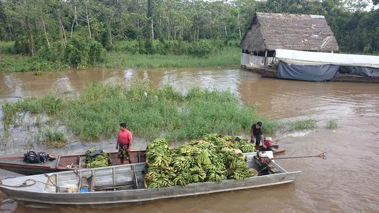 fleissige Abnehmer für, zumindest schon mal einen Teil der geladenen Fracht