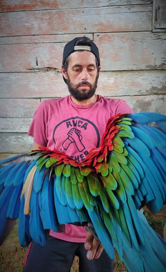 geballte farbpracht...