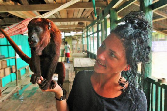 zwei Brülläffchen auf der Isla de los monos..