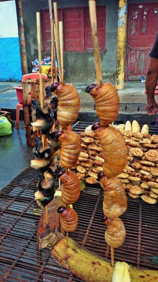 frisch gegrillte Larven als Snack zwischendurch...