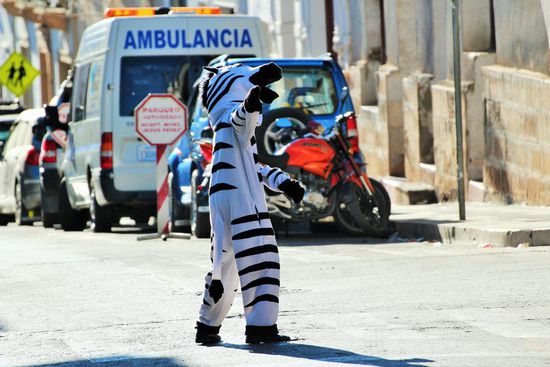 the helpful zebras. meist stehen die morgens auf der Strasse und helfen den Passanten beim Überqueren der Strassen
