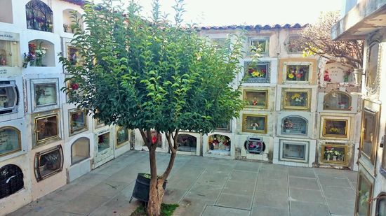 ein Teil des Friedhofs von Sucre. Hier scheinen wohl die kleinen Kinder beerdigt zu sein, danach zu urteilen wie liebevoll und kindlich die Schaufenster geschmückt waren