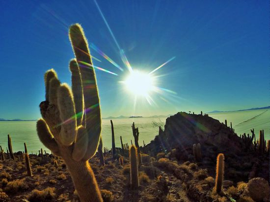 Huasi Island oder Fish Islands. Übersät mit Kakteen.