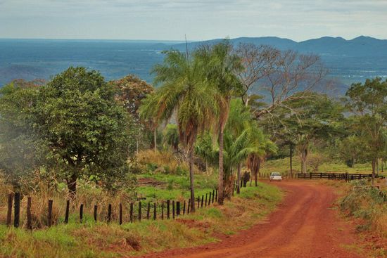 im hintergrund das riesige pantanal