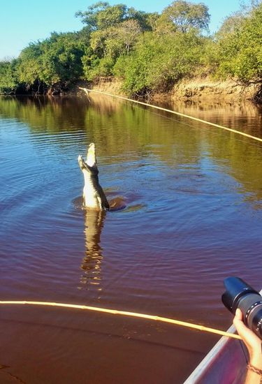 hier auch schon fleissig am springen