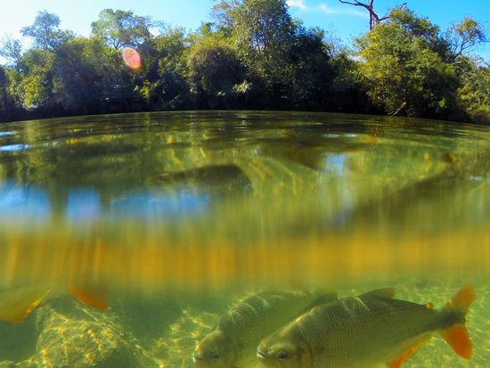 Der eiskalte aber glasklare Fluss zum Schnorcheln