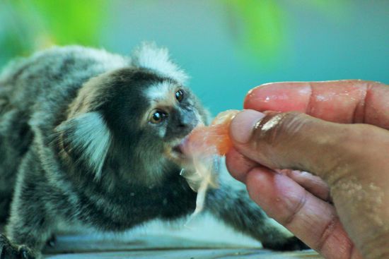 die gibts dann auch...