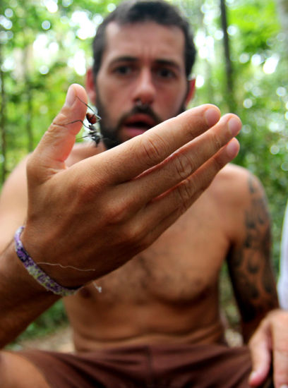 Risenameisen gabs auch