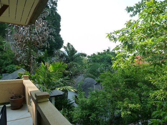 Der Blick von der Terasse....