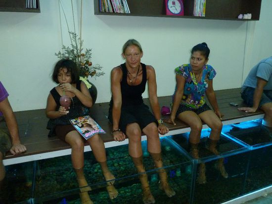 Sandra, Jule und Ju beim "Fische fuettern"