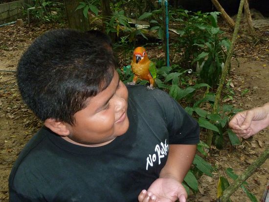 kleiner dicker Junge mit kleinem bunten Vogel....