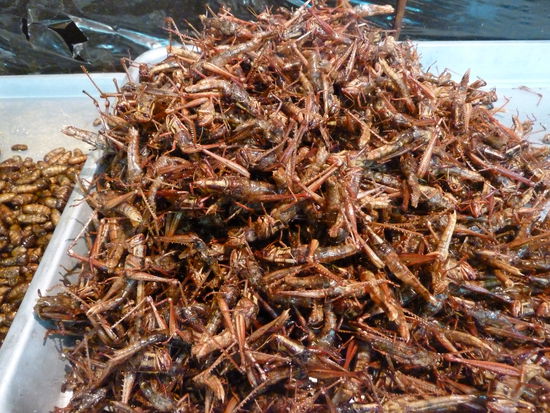 Happa happa, das sind fritierte Grashuepper