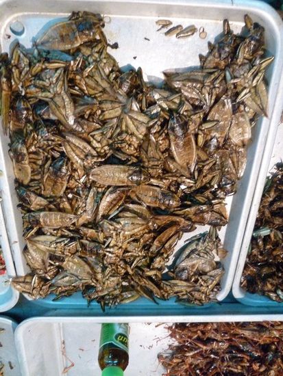 Das sind fritierte ....mhhhh...vielleicht Kakerlaken????