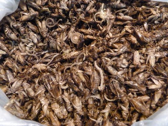 auch sehr lecker....