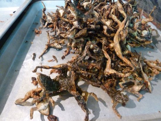 fritierte Eidechsen.....