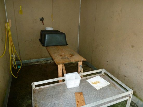 Filetierraum.....puuuuhh, gewöhnungsbedürftiger Geruch...