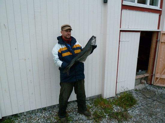 Hardy mit Rekordköhler