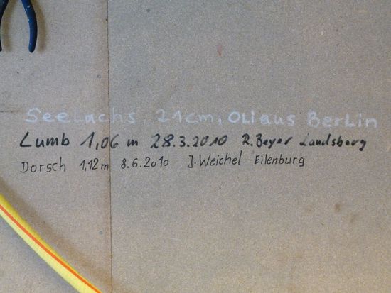 Uiuiui, der Captain mit seinem Rekordfisch....