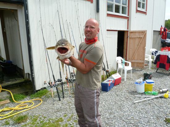 Rekorddorsch von Gourmetkoch Mike...alias Dieter E, diesmal von vorne