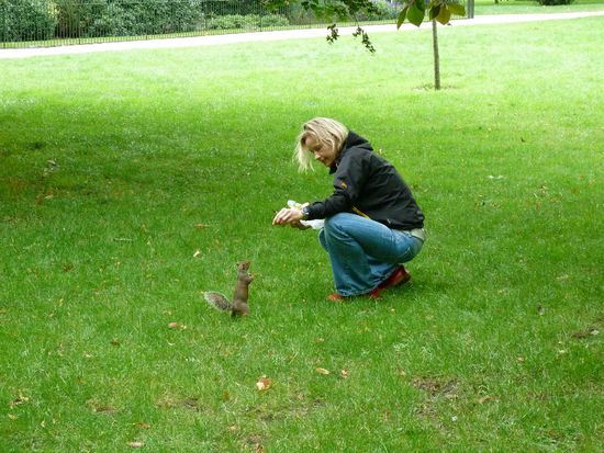 ...und die kleinen Scheisser im Hyde Park  haben null Respekt!!! ( Ach ja, sie mögen übrigens KEINE Bananen!!!!)