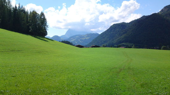 Ich muss es hier schreiben: Leute, DIE WELT IST SCHÖN!!