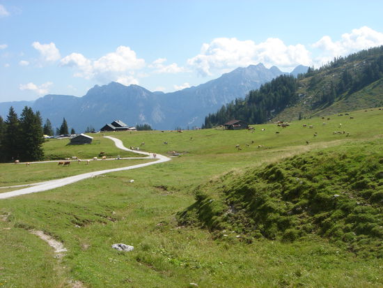 Die schöne Loferer-Alm