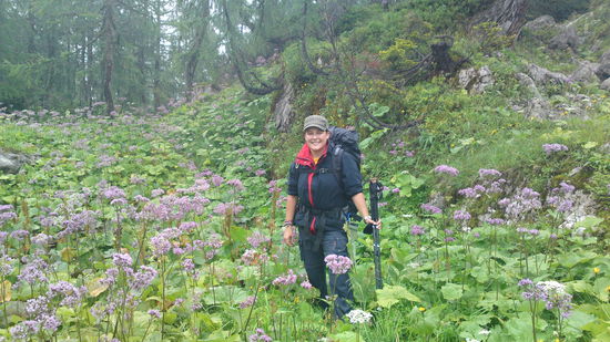 Blumenmeer auf der Alm